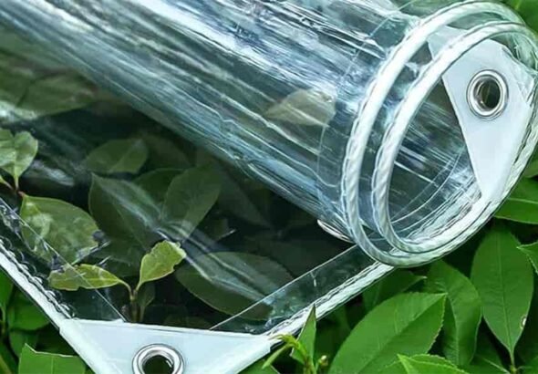 619xtYQWmsL._AC_UF8941000_QL80_ (2)