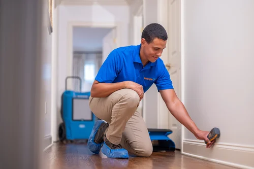 width=500,height=500