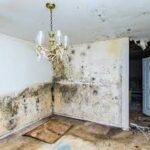 WhatsApp Image 2026-04-05 at 8.31.56 PM