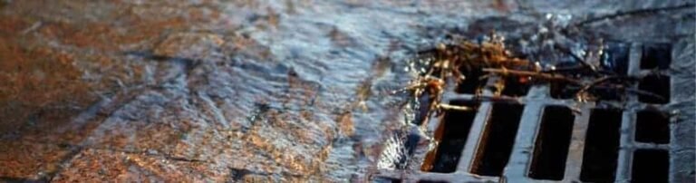 WhatsApp Image 2026-04-06 at 5.12.28 PM