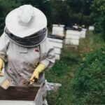 beekeeping15